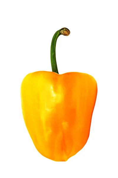 Yellow pepper — Stock Photo, Image