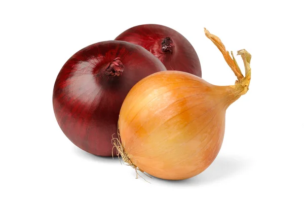 Three onions — Stock Photo, Image