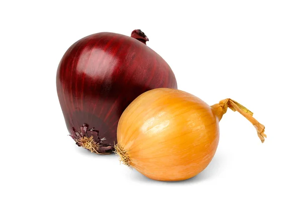 Zwei Zwiebeln in verschiedenen Farben — Stockfoto