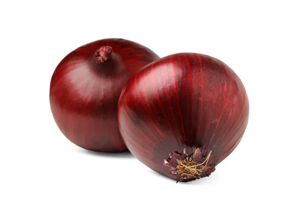 Dwa czerwone cebule — Zdjęcie stockowe