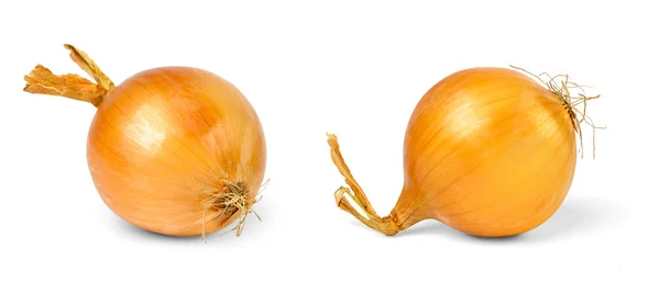 Onions isolated on white — Stock Photo, Image