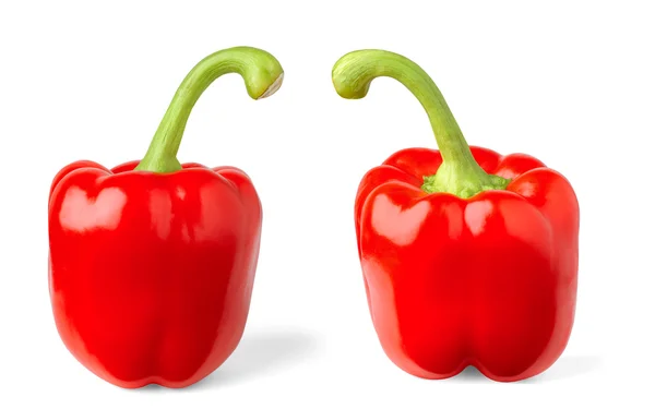 Två paprika — Stockfoto