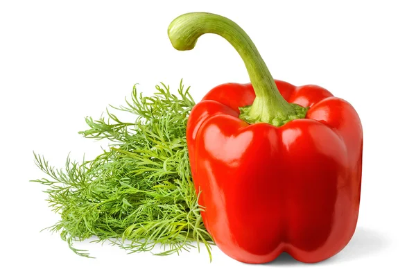 Bell pepper and fresh dill — Stock Photo, Image
