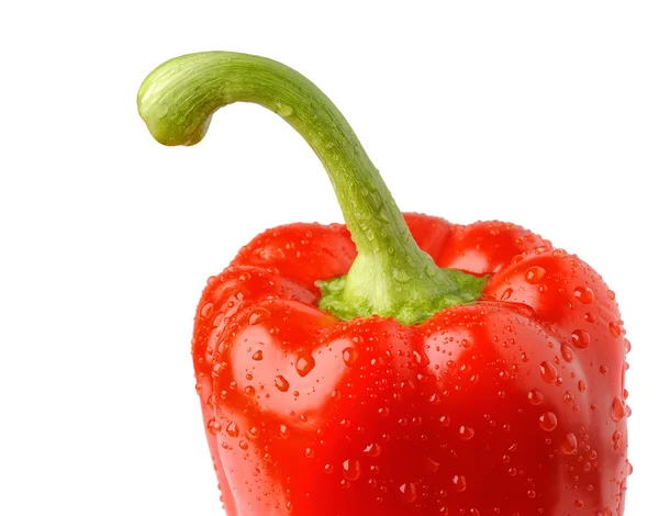 Bell pepper closeup — Stock Photo, Image