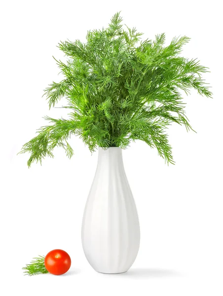 Kytice zelený kopr do vázy — Stock fotografie