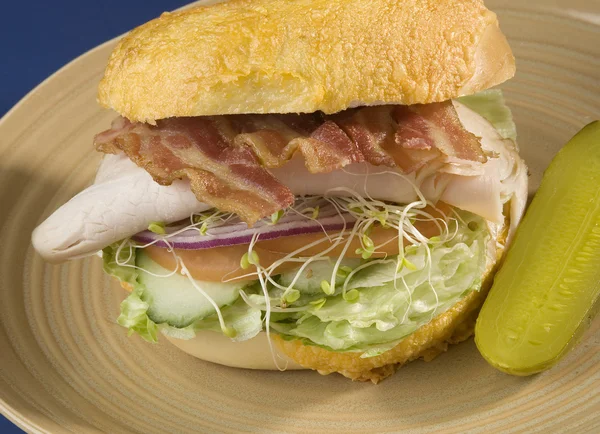 Turkije club sandwich — Stockfoto