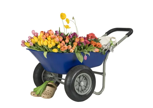 Wheelbarrow of flowers — Stock Photo, Image