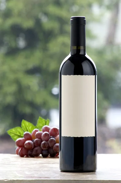 Láhev vína a hrozny — Stock fotografie