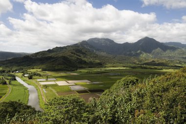 Island farming, Kauai clipart