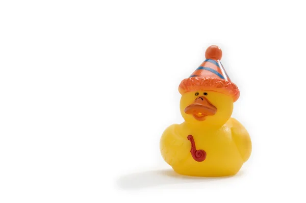 Party duck — Stock Photo, Image