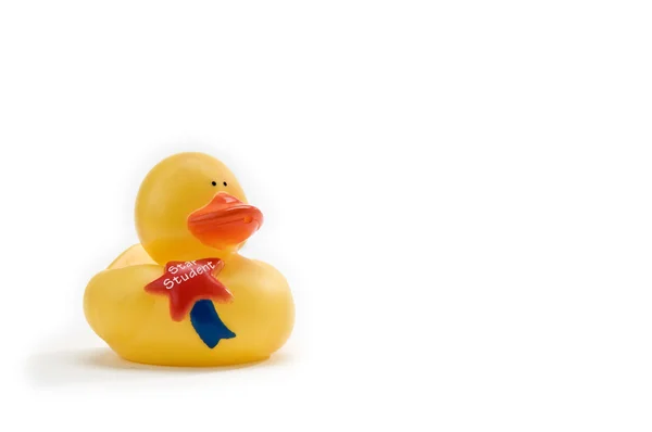Star student duck — Stock Photo, Image