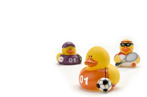 Sporty ducks have a sport theme — Stock Photo, Image