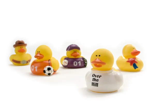 Five assorted ducks — Stock Photo, Image