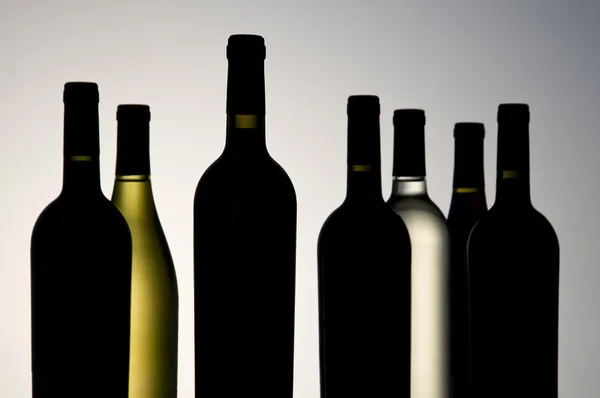 Ассортимент вин — стоковое фото