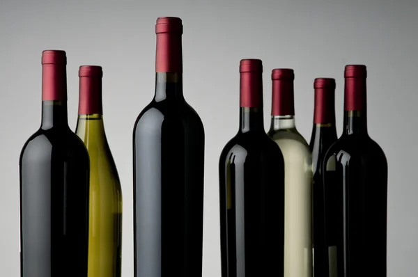 Wine assortment — Stock Photo, Image