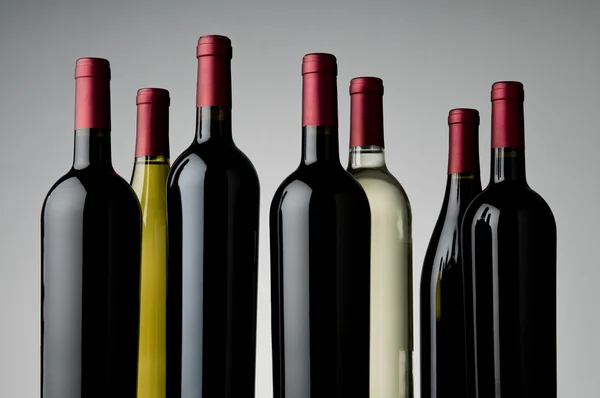葡萄酒的分类 — 图库照片