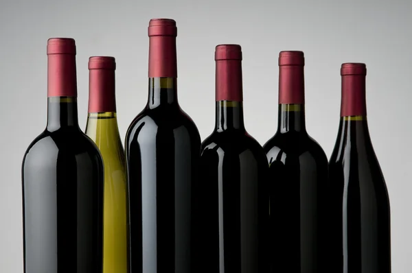 Ассортимент вин — стоковое фото