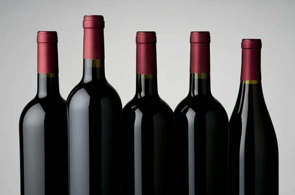 Assortimento di vini — Foto Stock