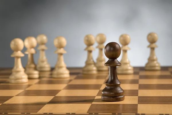 Trä schack spel bitar — Stockfoto