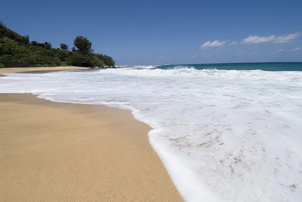 Kauaii에서 아름 다운 해변 — 스톡 사진