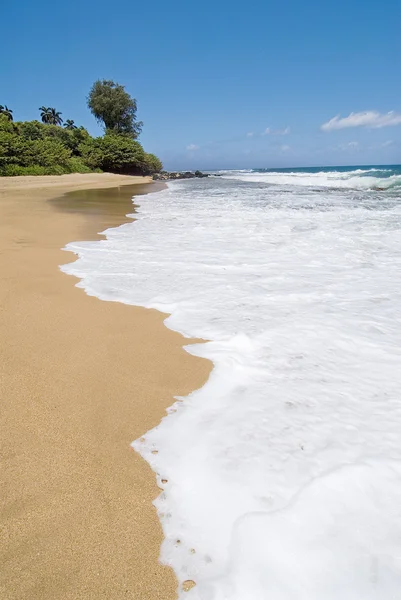 Kauaii güzel bir plaj — Stok fotoğraf