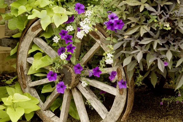 Wagon wheel trelles — Stockfoto