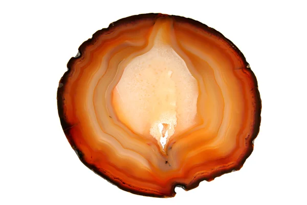 Cut of striped agate — Stock Photo, Image