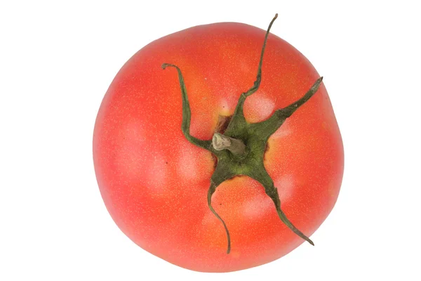 Красный помидор отдельно — стоковое фото