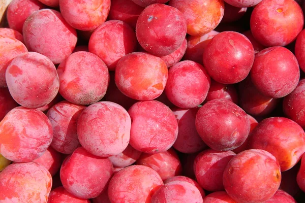 Ameixas vermelhas maduras — Fotografia de Stock