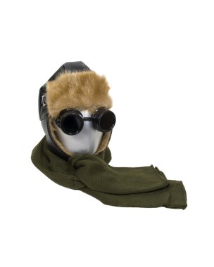 Cold Weather Aviator kit clipart