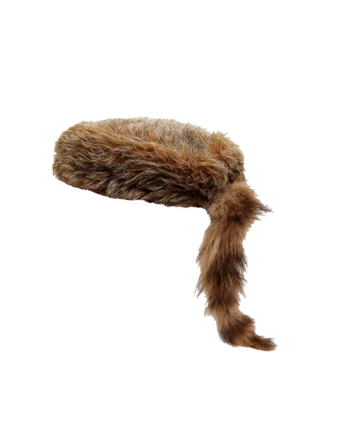 Fur cap — Stock Photo, Image