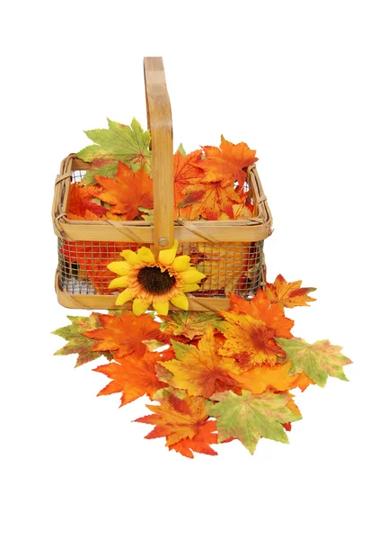 Canasta de hojas de otoño —  Fotos de Stock