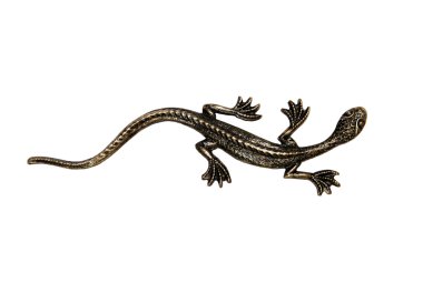 Brass lizard clipart