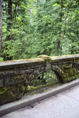 Moss covered bridge walkway clipart