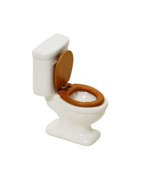 Porcelain Toilet