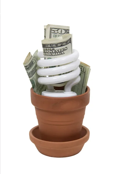 Växande gröna kostnads effektivt — Stockfoto