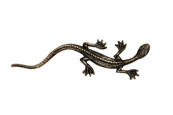 stock image Brass lizard