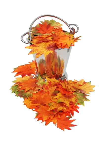 Цветные осенние листья в ведре со льдом — стоковое фото