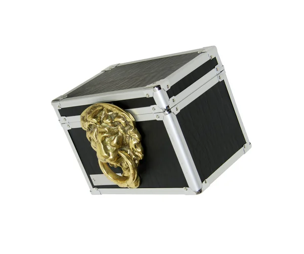 Caixa reforçada com leão — Fotografia de Stock