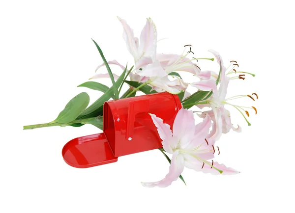 Röd postlåda bland liljor — Stockfoto