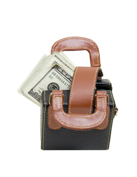 Väska med pengar — Stockfoto