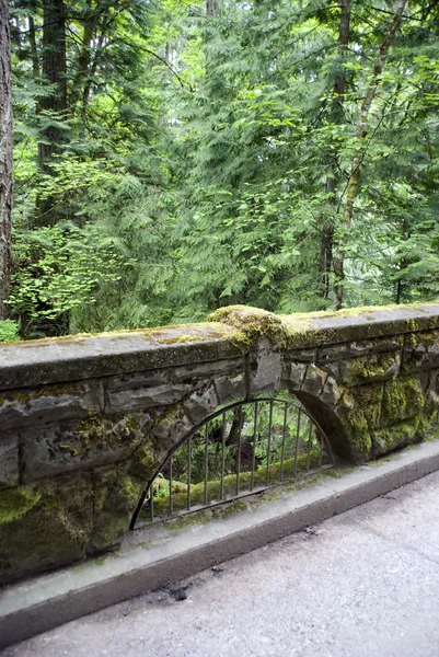 stock image Moss covered bridge walkway