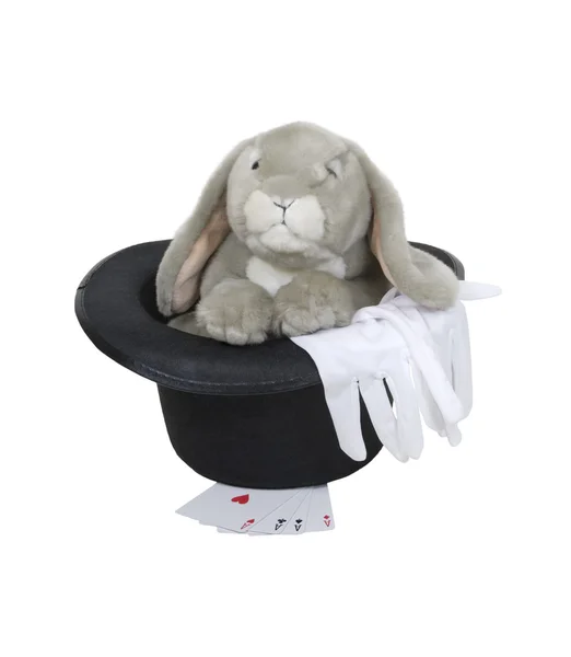 Kaninchen im Hut — Stockfoto