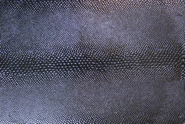 Textura de pele de cobra preta — Fotografia de Stock