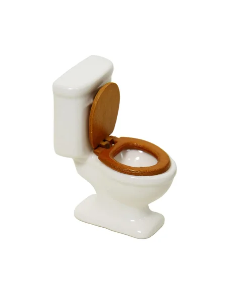 Porcelain Toilet — Stockfoto