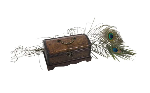 Feathers and antique box — Stock Photo, Image