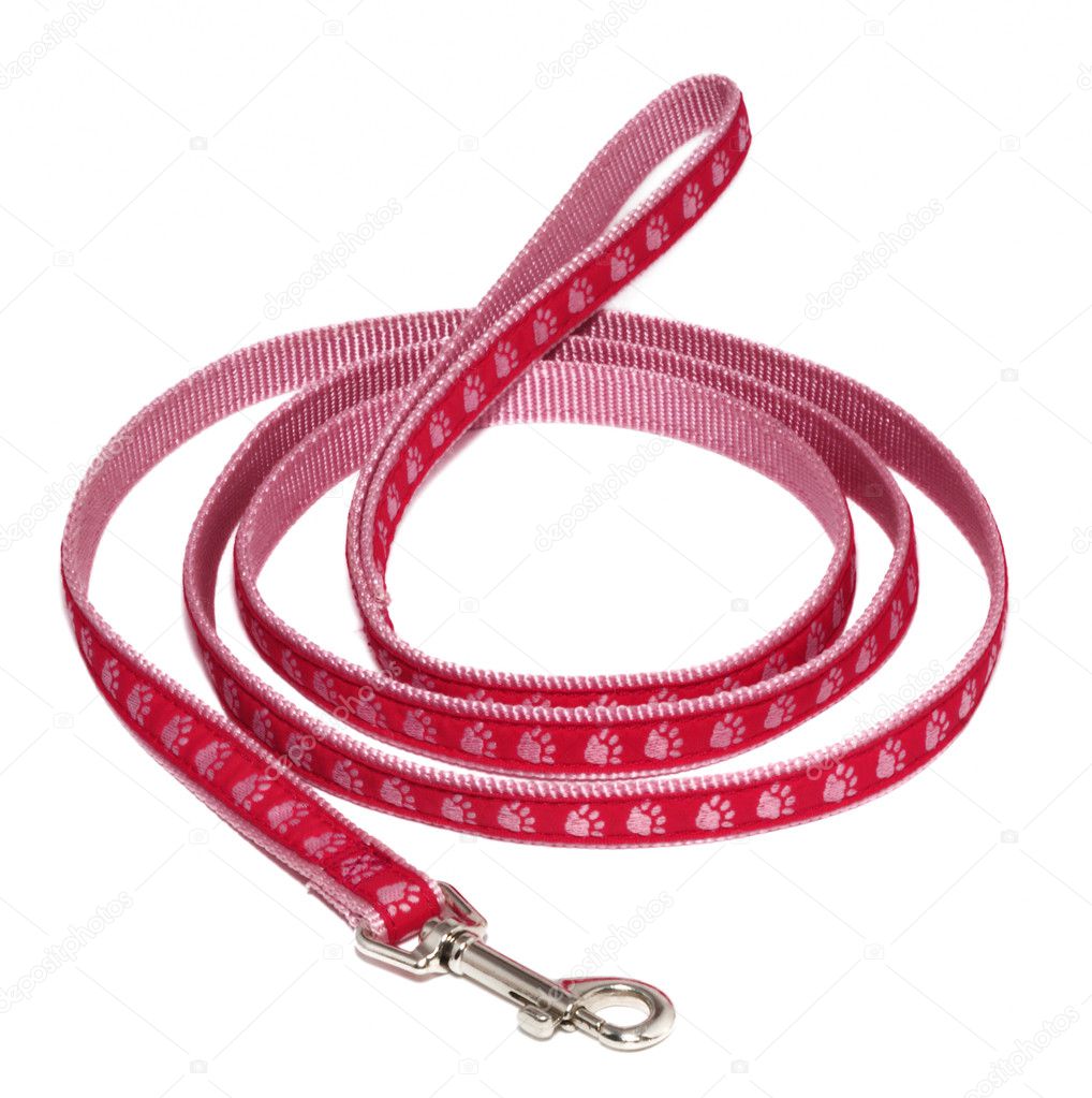 pink papyrus leashes