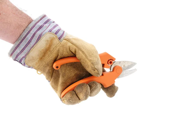 Sosteniendo tijeras de podar usando guantes de trabajo — Foto de Stock