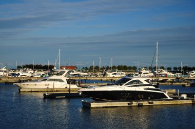 Cabin Cruisers Docked at Marina clipart