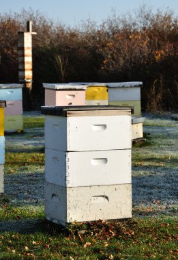 Langstroth Bee Hives clipart